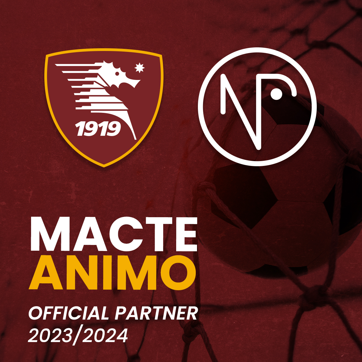 Naddeo Porte: official partner della Salernitana